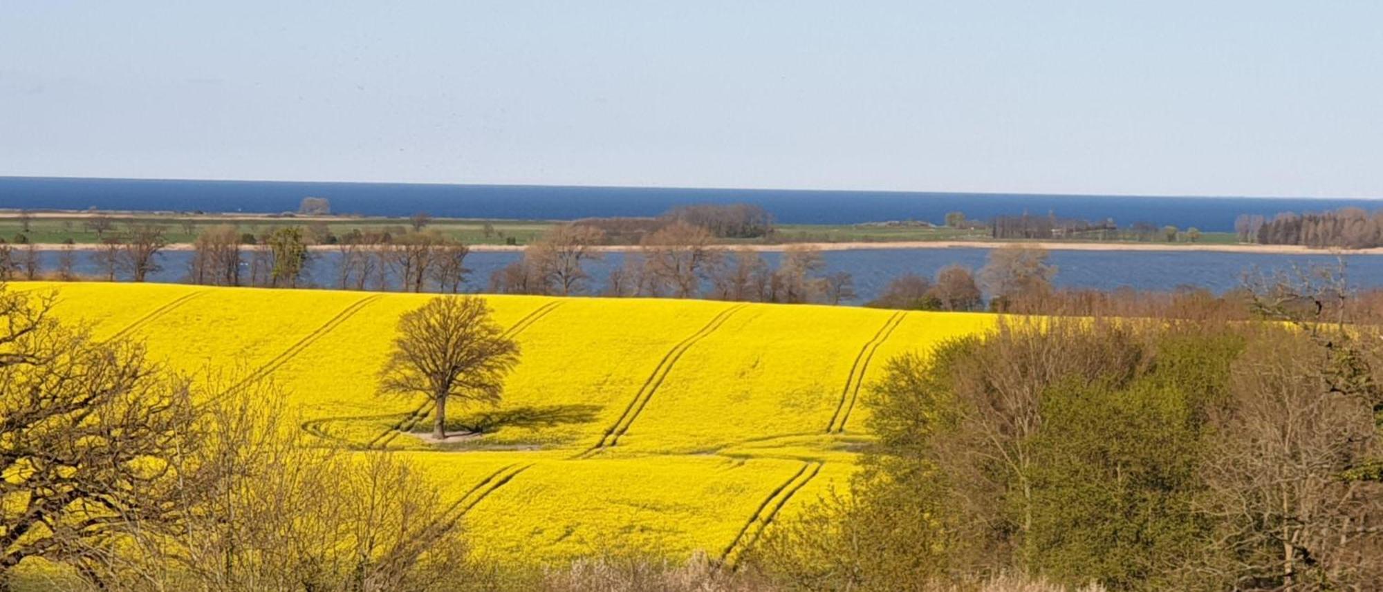 Idyllisches-Blockbohlenhaus-Mit-Eigenem-Garten-Und-Sauna-Zum-Wohlfuehlen Martensrade Bagian luar foto