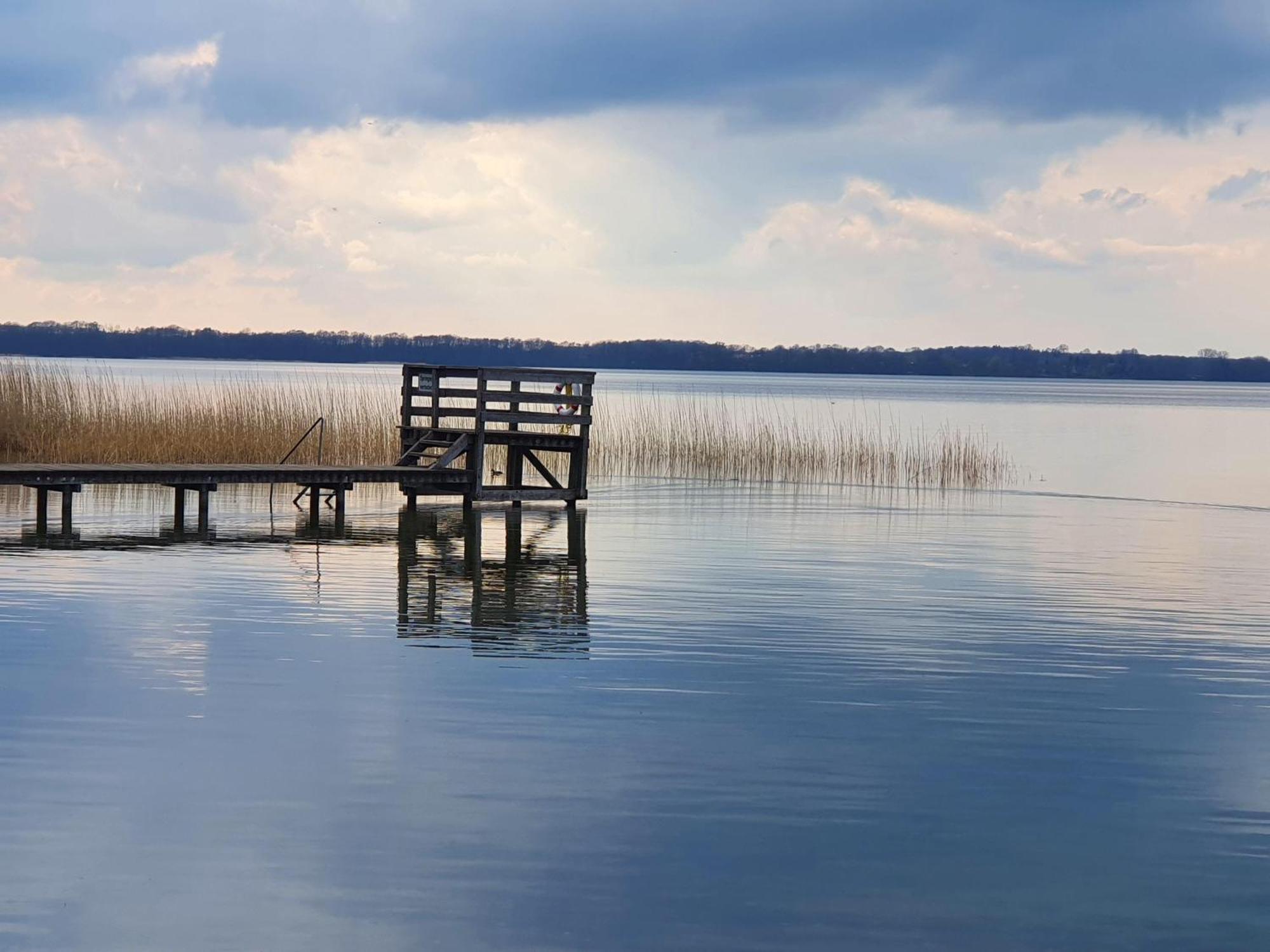 Idyllisches-Blockbohlenhaus-Mit-Eigenem-Garten-Und-Sauna-Zum-Wohlfuehlen Martensrade Bagian luar foto