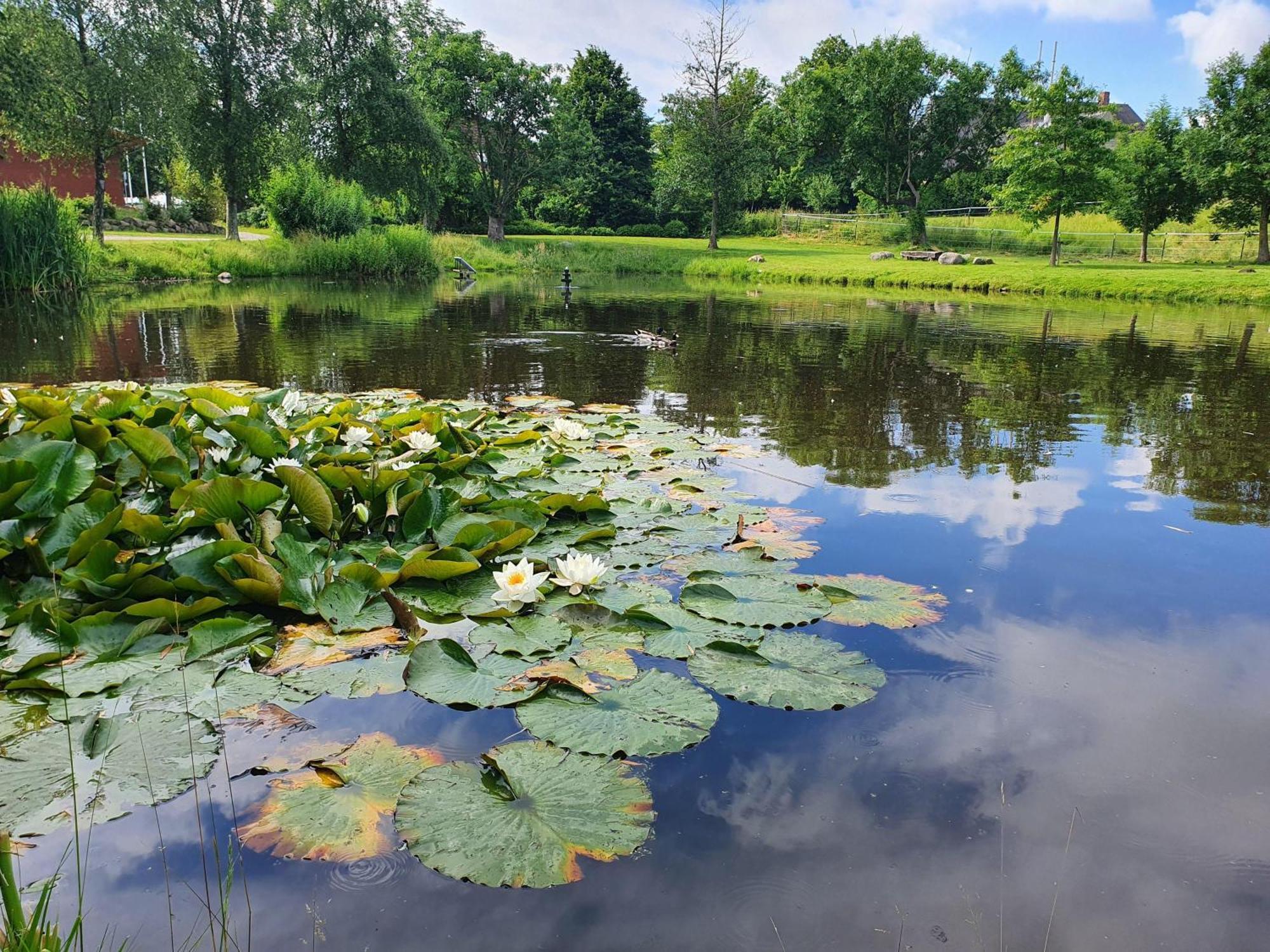 Idyllisches-Blockbohlenhaus-Mit-Eigenem-Garten-Und-Sauna-Zum-Wohlfuehlen Martensrade Bagian luar foto