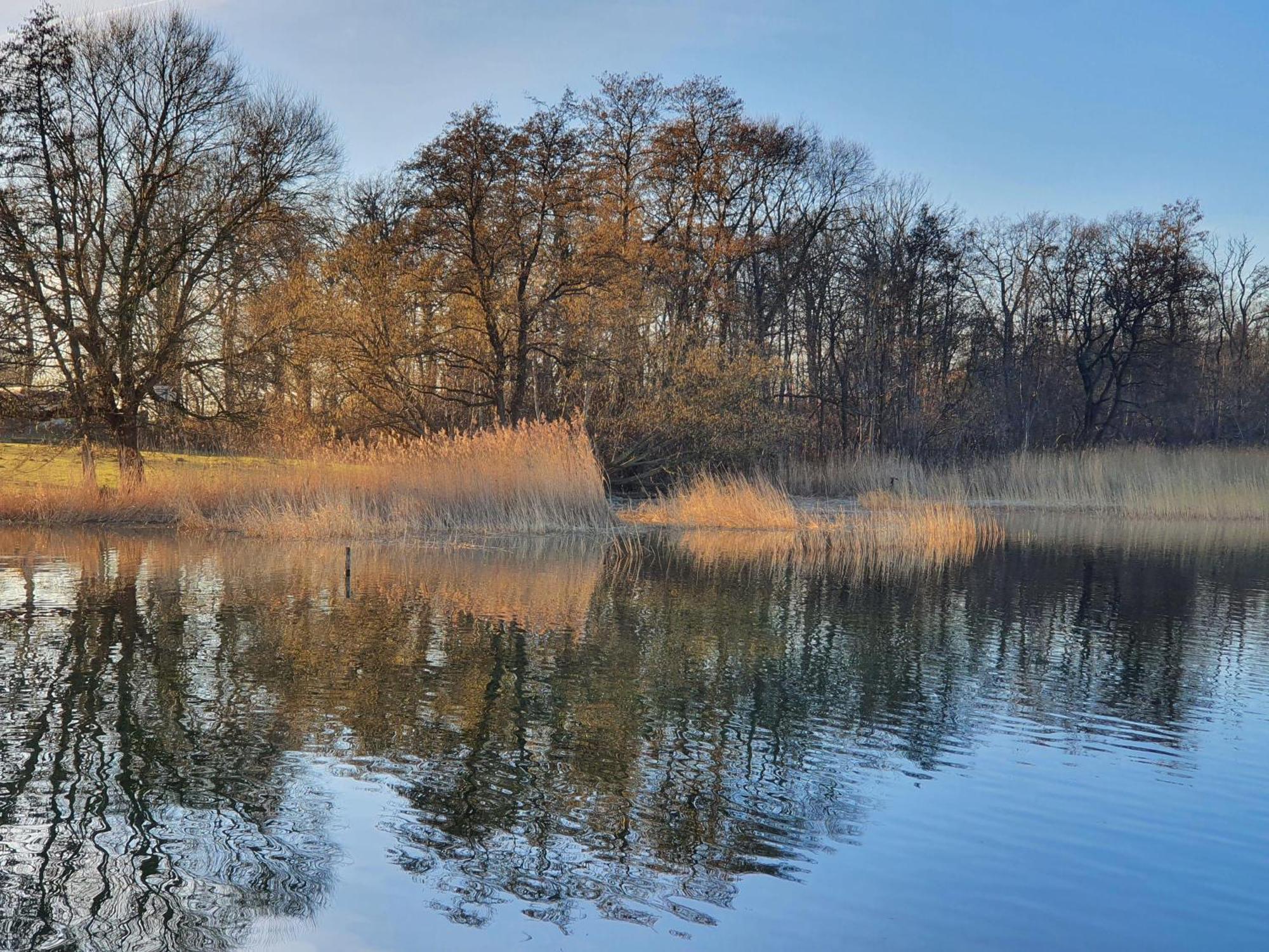 Idyllisches-Blockbohlenhaus-Mit-Eigenem-Garten-Und-Sauna-Zum-Wohlfuehlen Martensrade Bagian luar foto